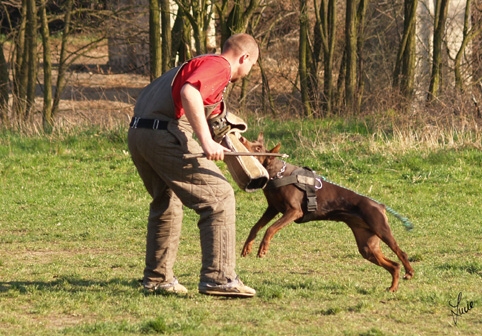 Training 26. 3. 2007